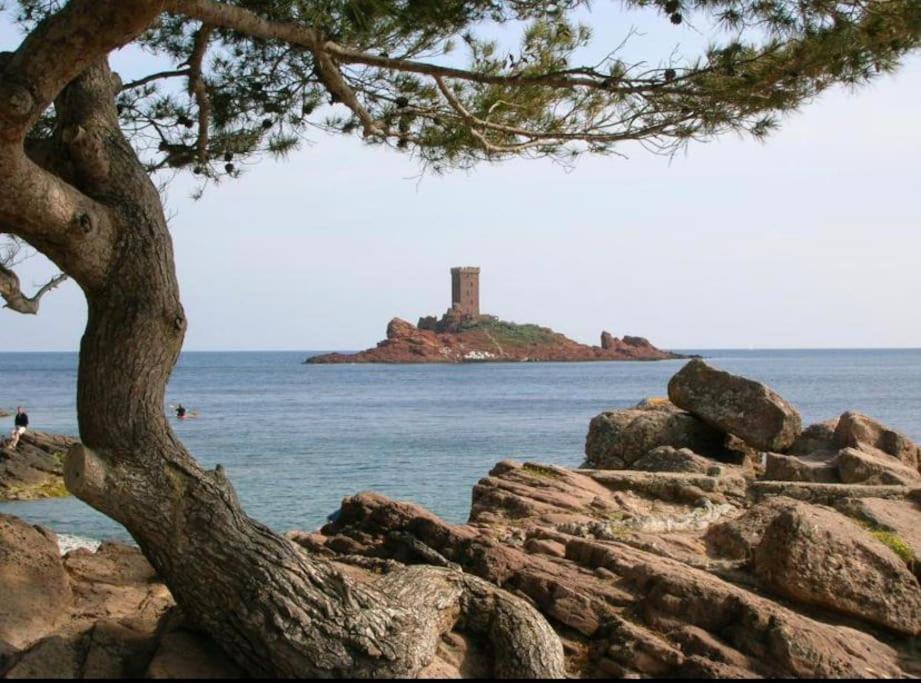 Saint-Raphaël Chaleureux Appartement Face Au Port Sta Lucia, Tout A Pieds, Wifi מראה חיצוני תמונה